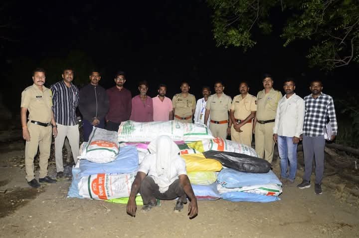 उसाच्या आडून अफूची शेती;२७ लाखांचे अफूचे पीक जप्त ,शिराढोण पोलिसांची धडाकेबाज कारवाई